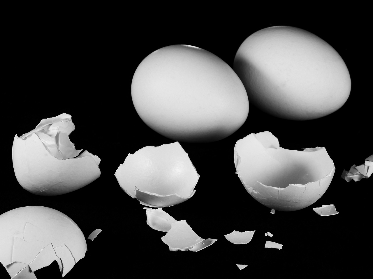 broken eggshell with eggshell membrane