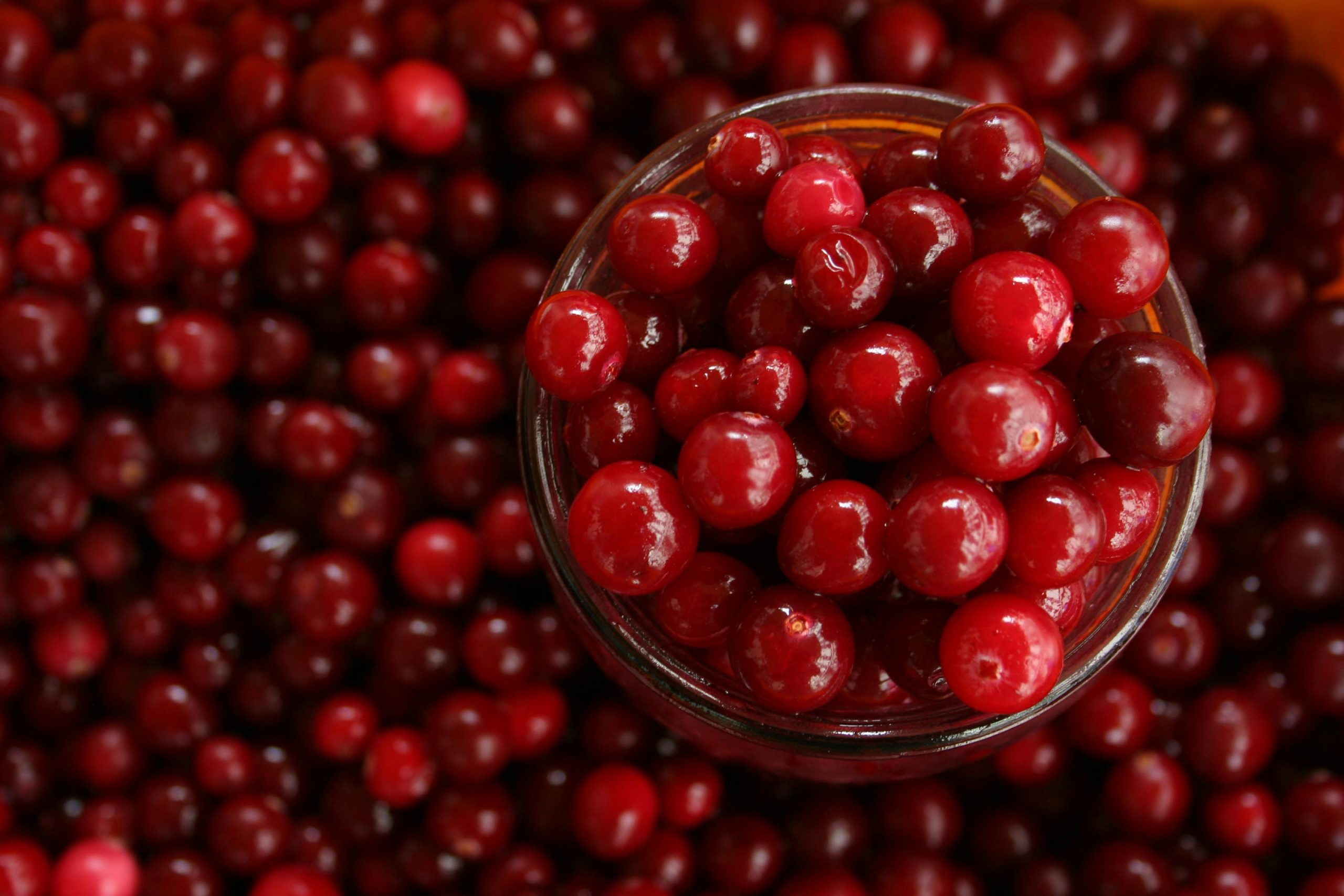 bowl full of cranberry for uti