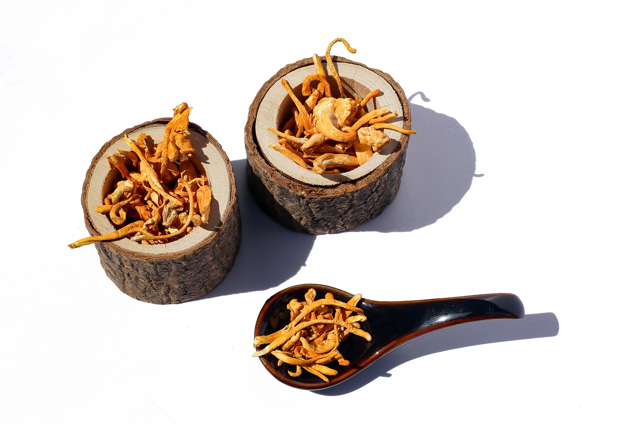 cordyceps mushrooms in container